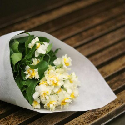 Why White Flowers are Perfect for Summer