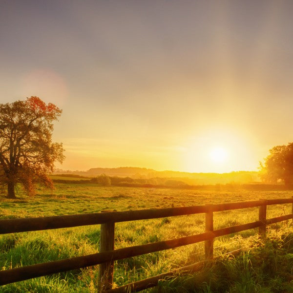 Sleep and well-being tips for daylight savings