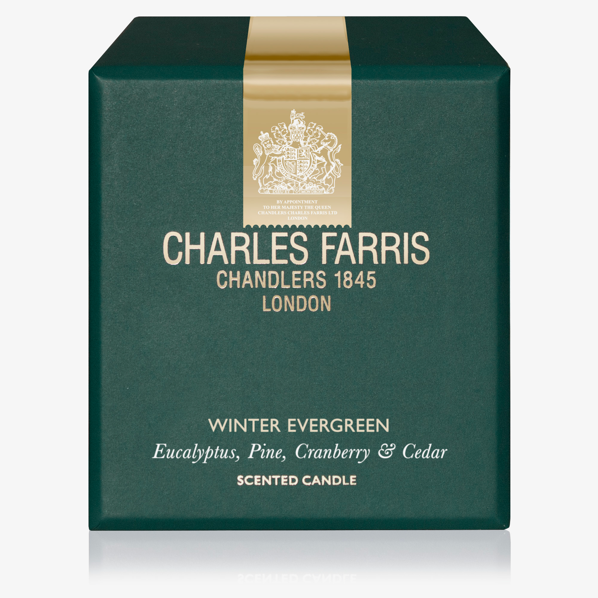 Winter Evergreen Candle