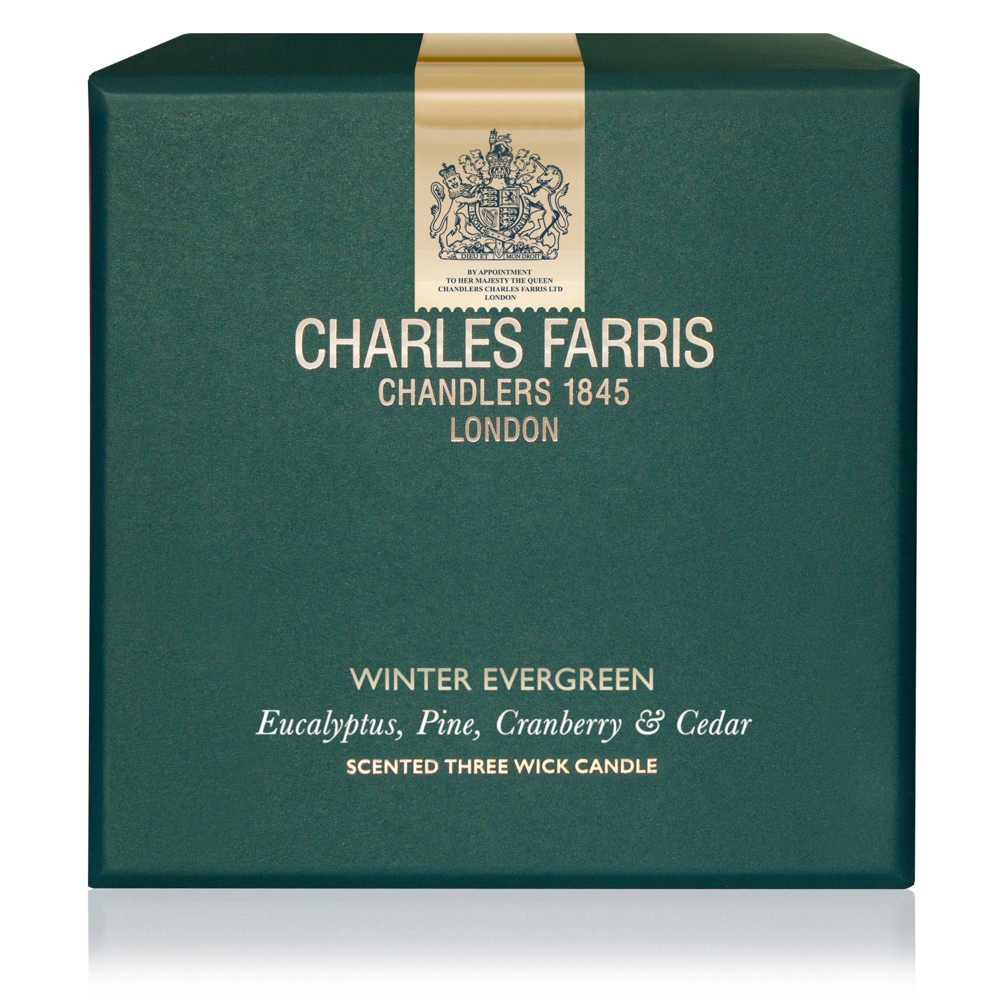 Winter Evergreen – 3 Wick Candle